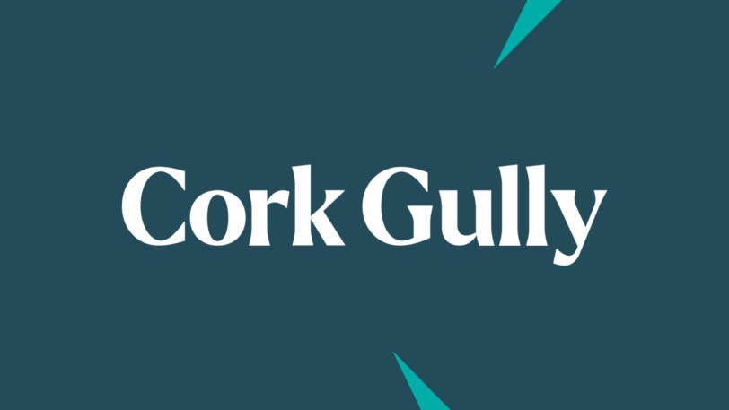 We are a trusted advisory firm and portfolio manager specialising in restructuring, special situations and fund value recovery.